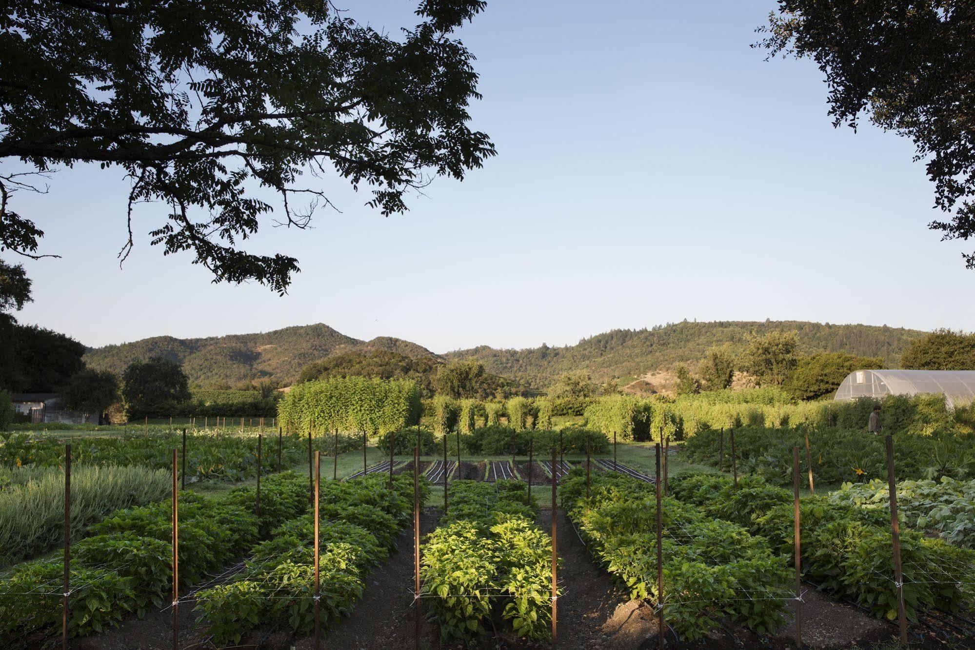 Napa Valley Lodge Янтвилл Экстерьер фото